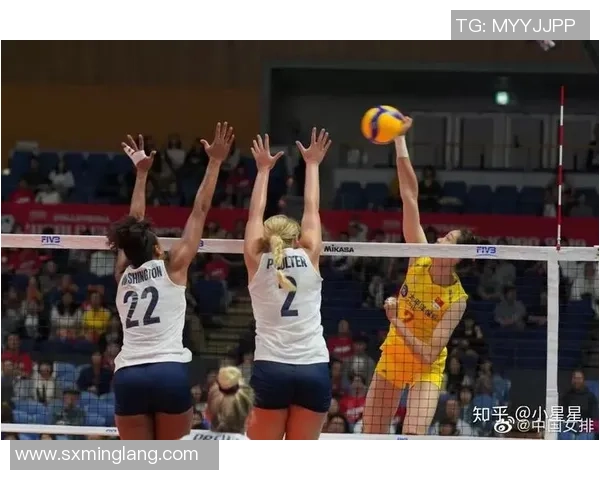 武汉排球队的奋斗历程与总决赛背后的成长故事揭秘